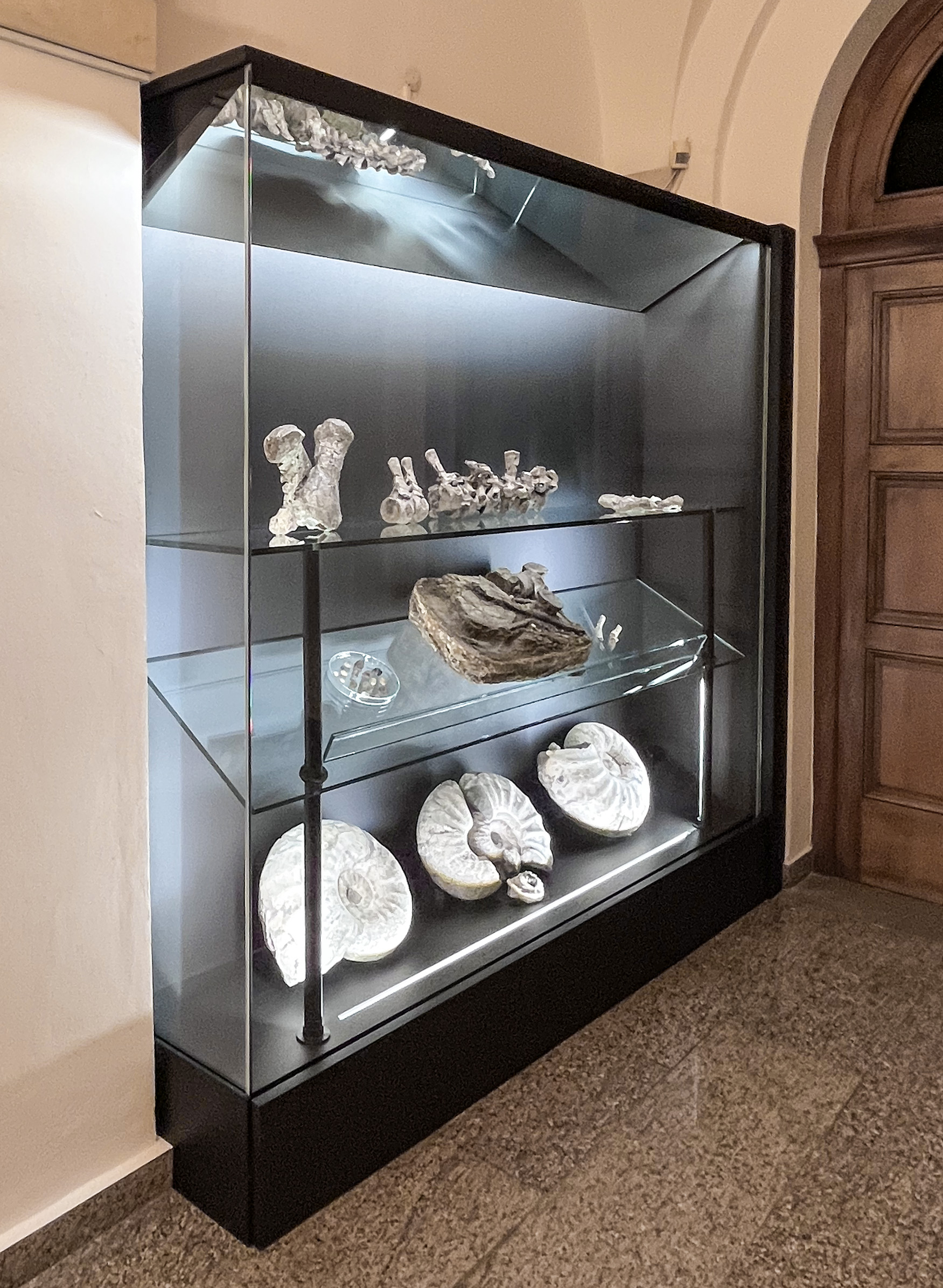 Art_consultancy_2025_Vitrina_pro_Ceskou_geologickou_sluzbu_8132