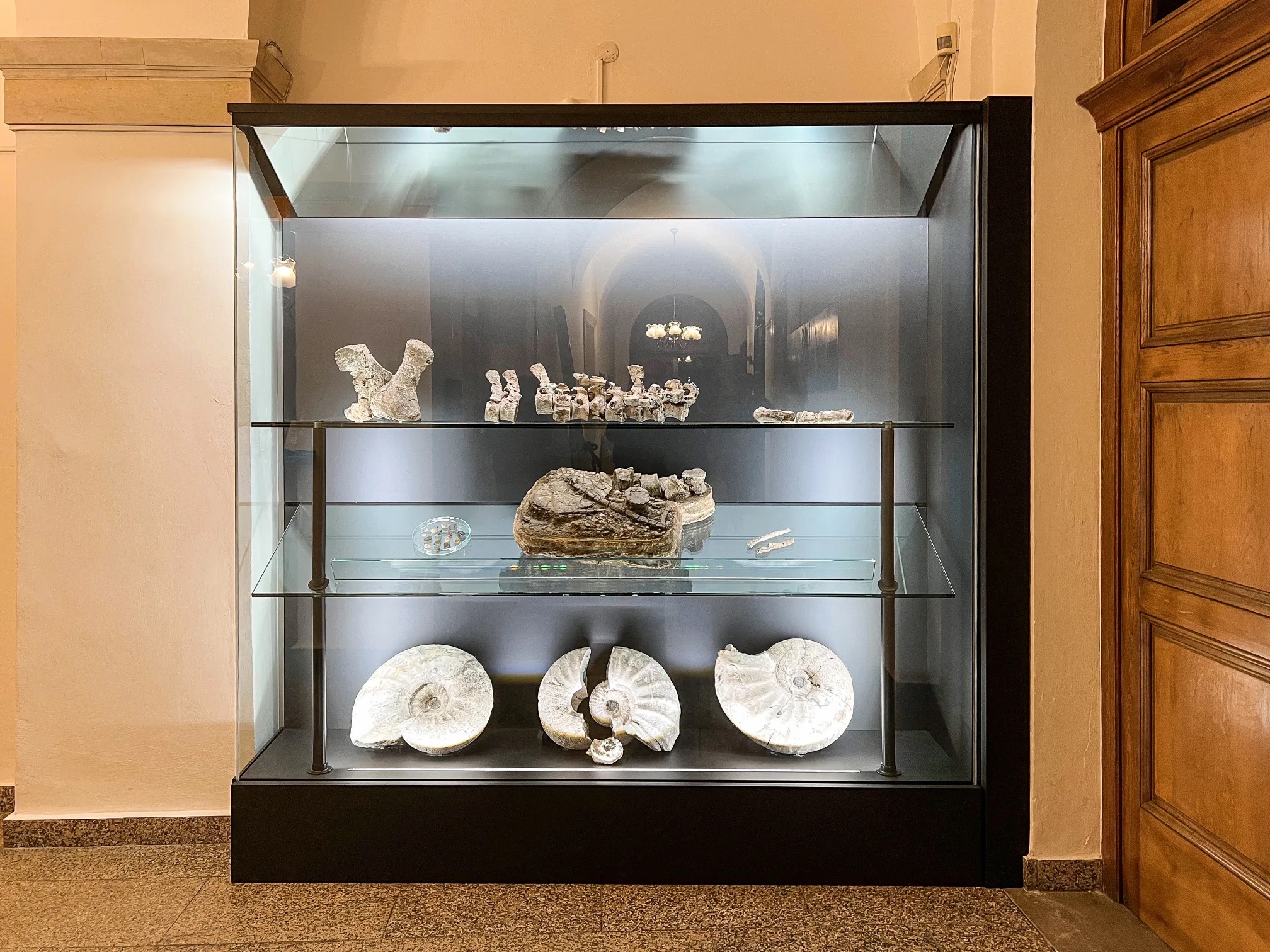 Art_consultancy_2025_Vitrina_pro_Ceskou_geologickou_sluzbu_2205