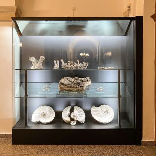 🌟 Atypické vitríny pro paleontologické exponáty! 🌟 🦖🦖🦖 Přijali jsme velkou výzvu od @svetgeologie - vyrobit...